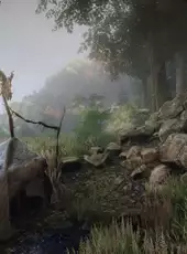 The Vanishing of Ethan Carter