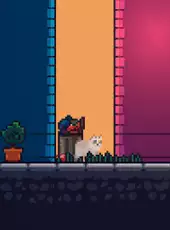 Rooftop Rascal: The Spooky Cat