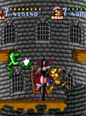 Battletoads In Battlemaniacs