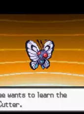 Pokémon Blaze Black