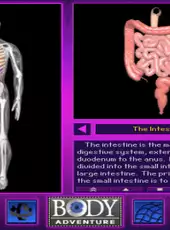 3D Body Adventure