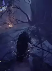 Lords of the Fallen: Collector's Edition