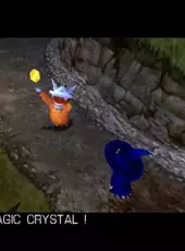 Spirits & Spells