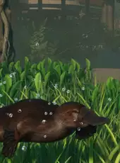 Planet Zoo: Wetlands Animal Pack