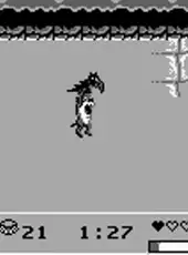 Taz-Mania 2