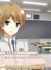 Sakura Mau Otome no Rondo