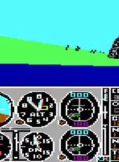 Microsoft Flight Simulator 2.0