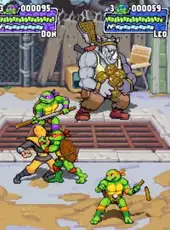 Teenage Mutant Ninja Turtles: Shredder's Revenge