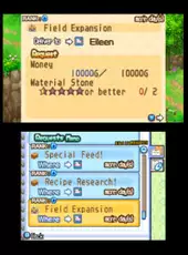 Harvest Moon: The Tale of Two Towns