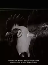 Chicken Police