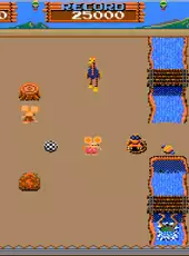 Arcade Archives: Dacholer