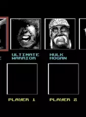WWF European Rampage Tour