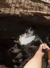 Zoo Simulator