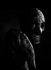 Insomnis Experiment