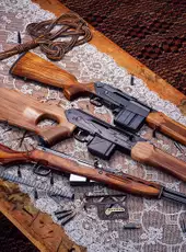 TheHunter: Call of the Wild - Rapid Hunt Rifle Pack