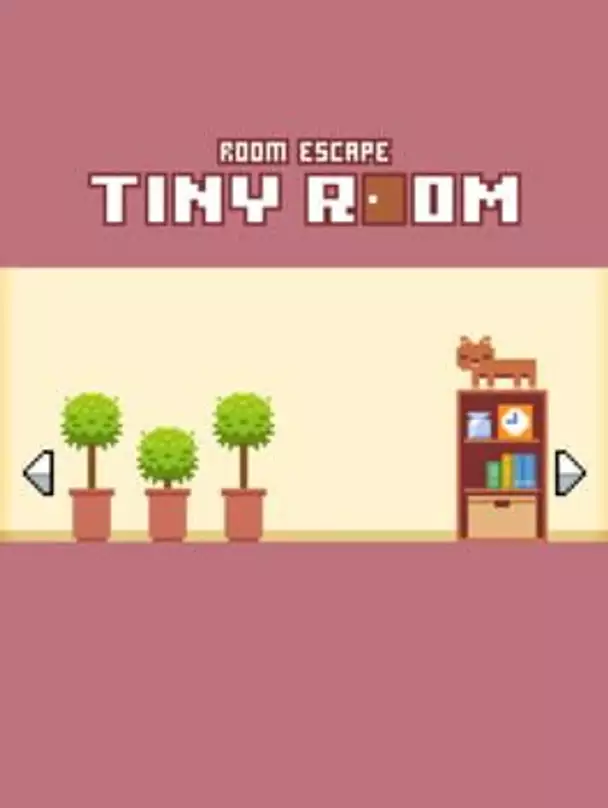 Tiny Room