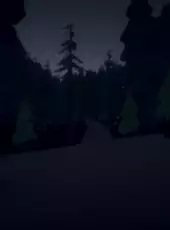 Drowning