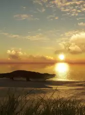 theHunter: Call of the Wild - Emerald Coast Australia