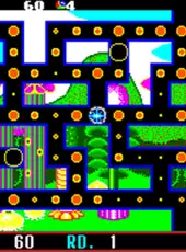 Fantasy Zone: The Maze