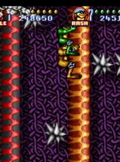 Battletoads In Battlemaniacs