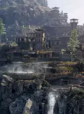 Black Desert