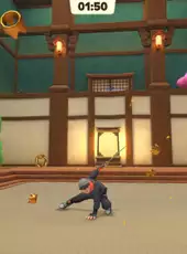 Ninja Party