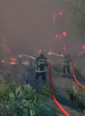 Rescue Ops: Wildfire