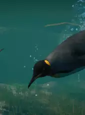 Planet Zoo: Aquatic Pack