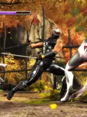 Ninja Gaiden Sigma