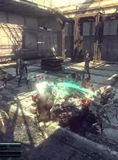 Collapse: The Rage