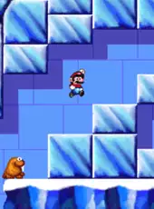 Super Mario's Wacky Worlds