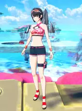 Digimon Story: Time Stranger - Costume Pack