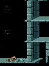 Prince of Persia