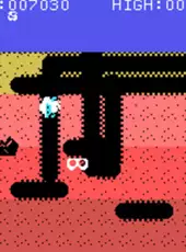 Dig Dug