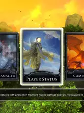 Magic: The Gathering - Duels of the Planeswalkers 2013