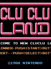 Clu Clu Land D