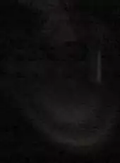 Slender: The Eight Pages