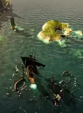 Rogue Waters