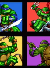 Teenage Mutant Ninja Turtles: The HyperStone Heist