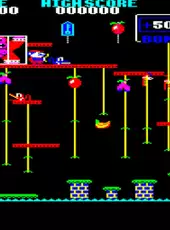 Donkey Kong Junior