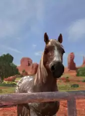 Ellen Whitaker's Horse Life