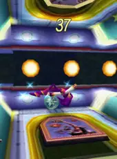 Nights Into Dreams...