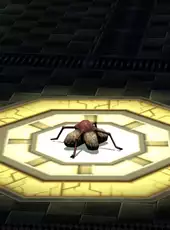 Baroque: Become a Meta-Being