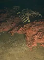 Saint Kotar: Digital Deluxe Edition