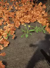 Lawn Mowing Simulator 2