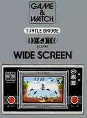 Turtle Bridge