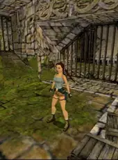 Tomb Raider: The Lost Artifact