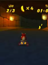 Diddy Kong Racing