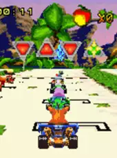 Crash Nitro Kart