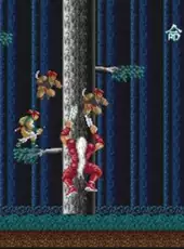 Ninja Spirit